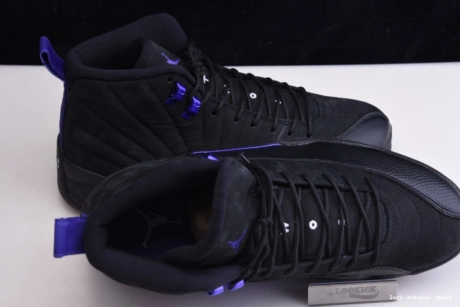 Rep LUCY Retro 12 CT8013 'Dark Jordan 005 Air Concord' 0722